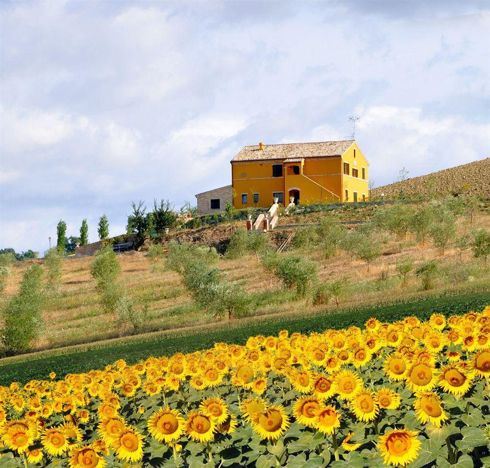Villa Scuderi Recanati Exterior photo